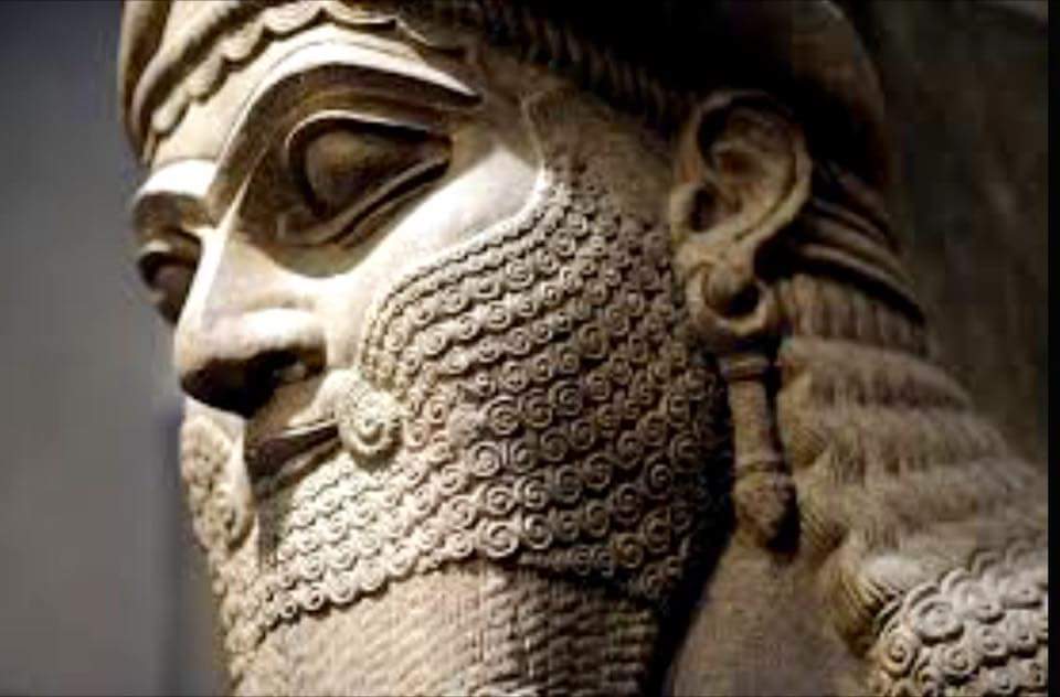 The 12th planet wiki picture